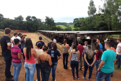 visita bemdita4