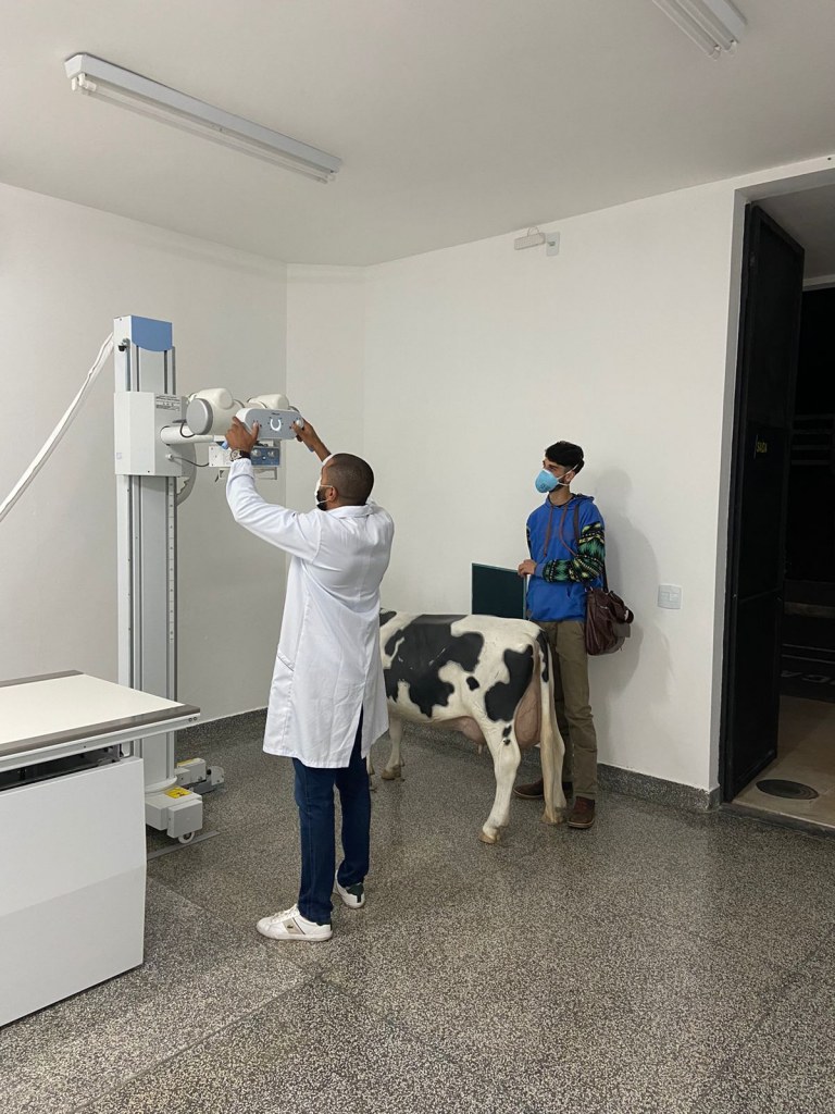 experiencia-unilavras-10