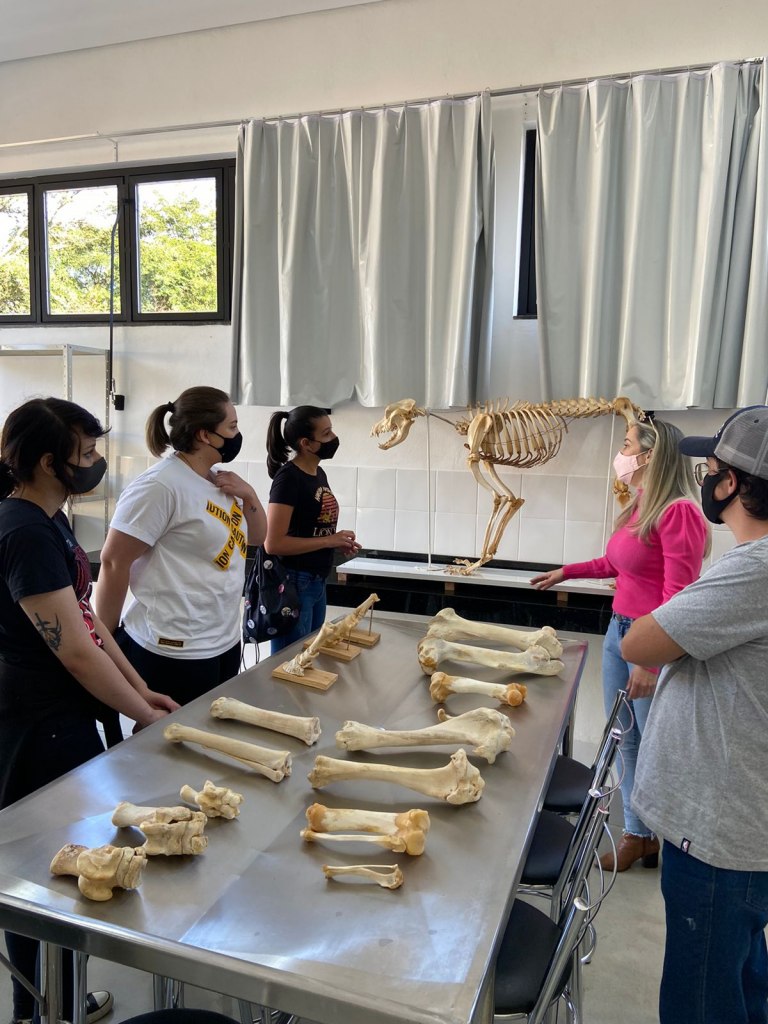 experiencia-unilavras-4