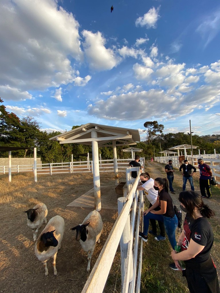 experiencia-unilavras-6