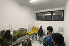 experiencia-unilavras-17