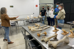 experiencia-unilavras-9