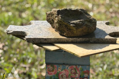 Midia-4