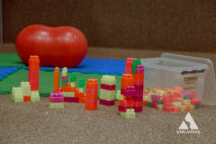 IMG_2194
