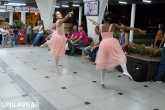 Unilavras - semana cultural 2017-16
