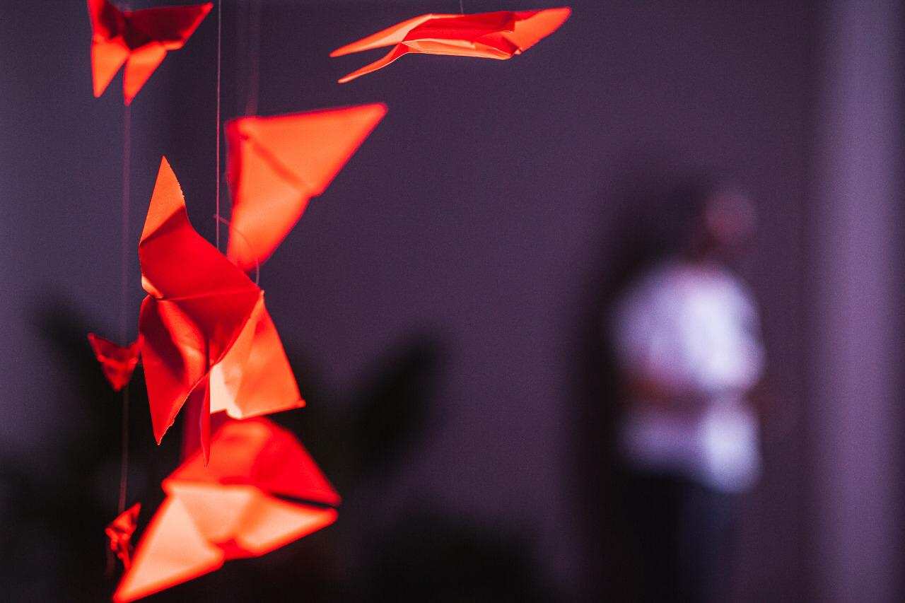 DIVULGAÇÃO-TEDXLAVRAS-4