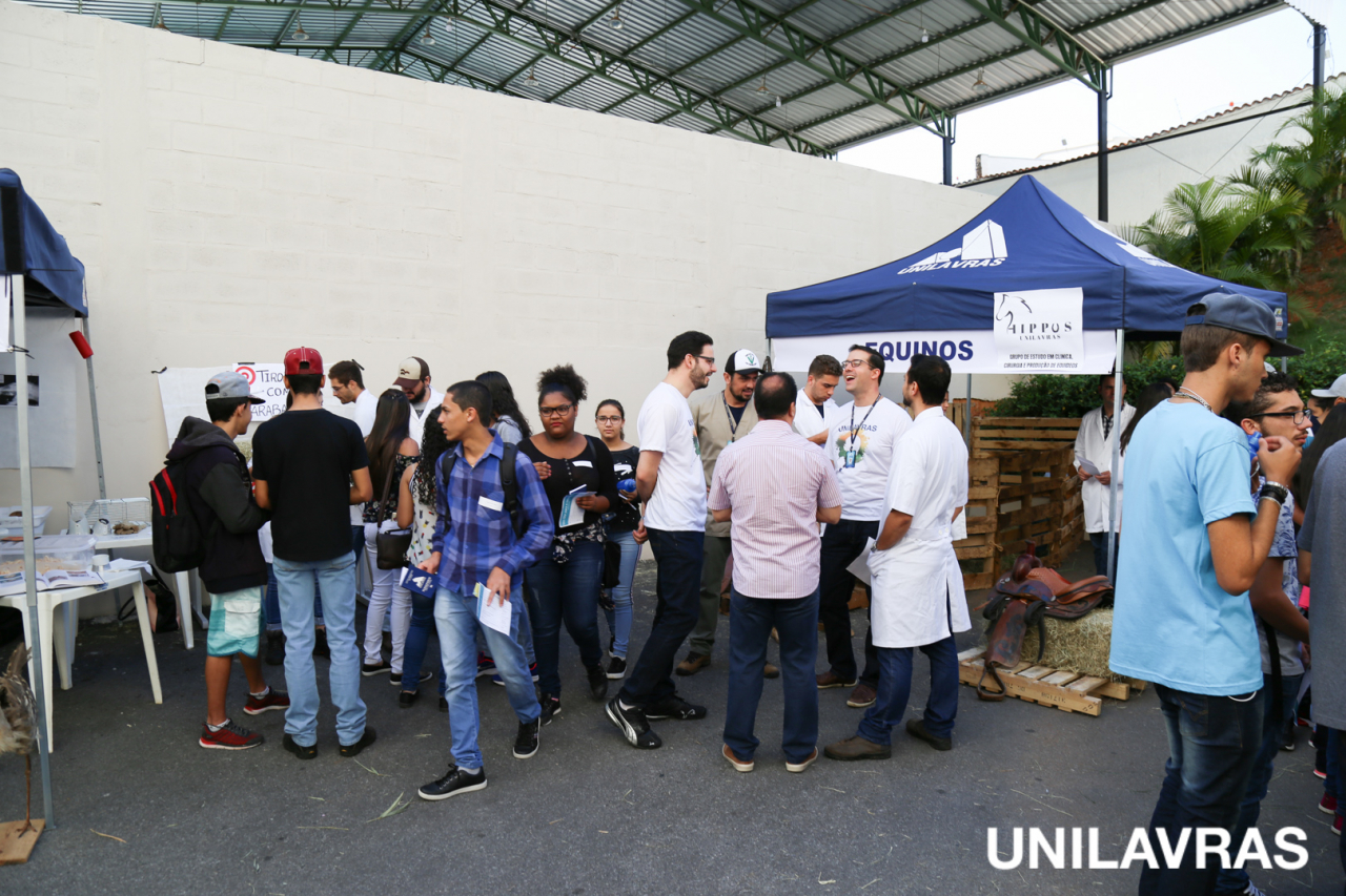 unilavras_-5