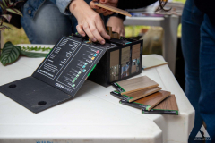 IMG_7772-2
