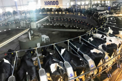 visita_tecnica_fazenda_colorado_medvet_unilavras-1