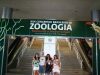 xxx-congresso-brasileiro-de-zoologia